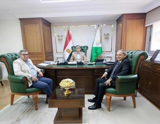 محافظ الجيزة يُشكِّل لجنة لمراجعة إجراءات السلامة والصحة المهنية بالمنشآت الحيوية