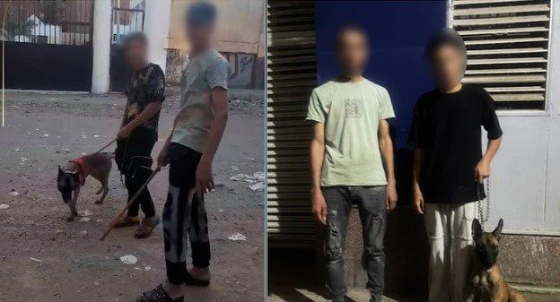 أعمال بلطجة.. ضبط المتهمين بترويع أطفال باستخدام كلب وعصا خشبية بالقليوبية