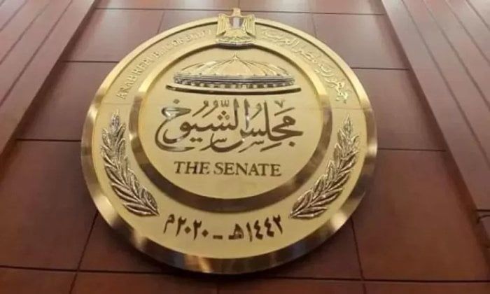 القضاء الإدارى بالقليوبية يرفض طعنين مقدمين من مرشحين بانتخابات مجلس الشيوخ
