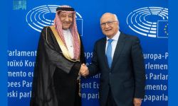 نائب وزير الخارجية