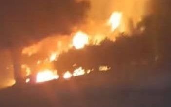 اندلاع حريق هائل بمزارع النخيل بالخانكة.. والحماية المدنية تسيطر
