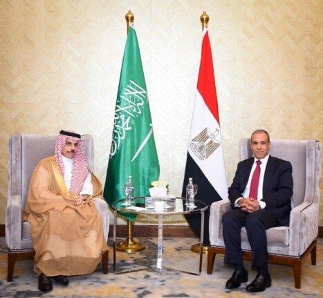 وزير الخارجية يستقبل نظيره السعودي بالعلمين