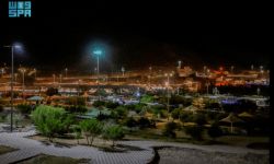 متنزه "الوادي" ببلجرشي