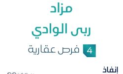 مزاد ربى الوادي
