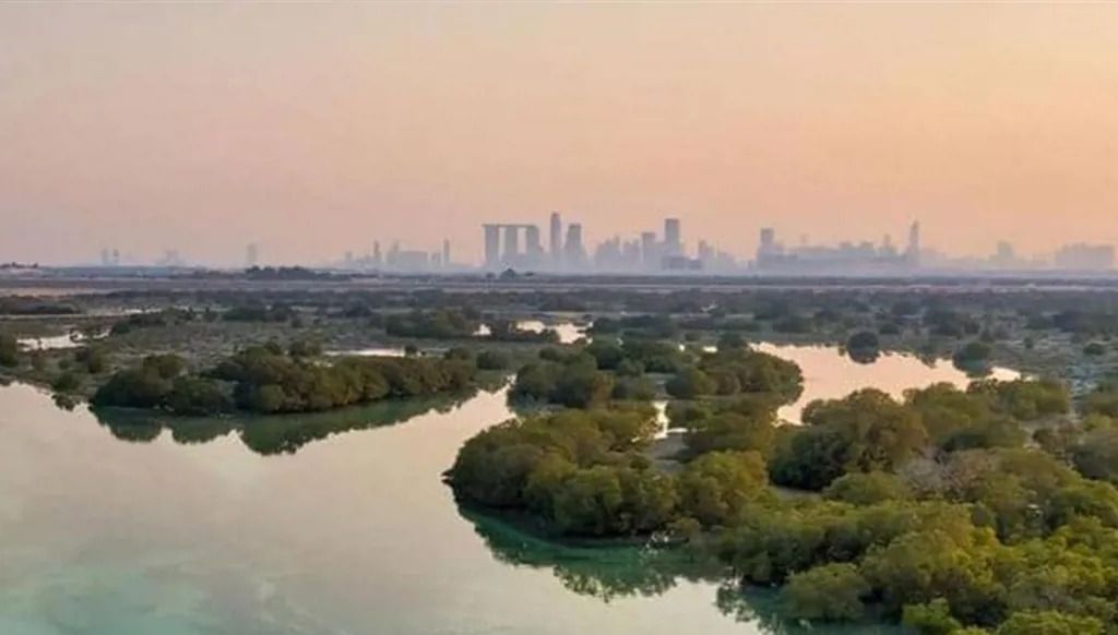 الإمارات تكافح التغير المناخي (وكالات)