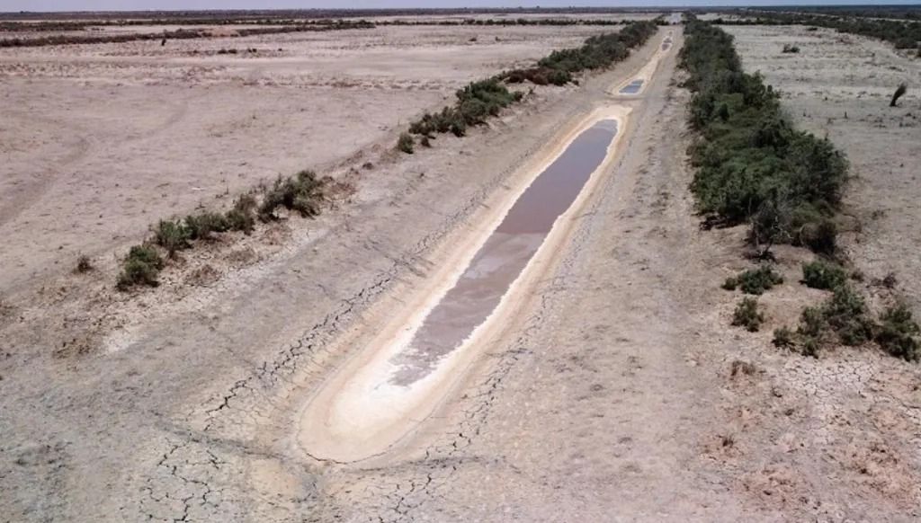 جفاف في الأهوار بالجنوب العراقي (أ ف ب)