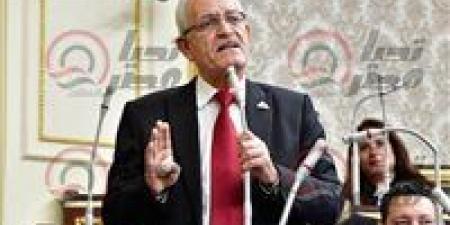 المغاوري لـ “تحيا مصر”: الاصطفاف الوطني وتمثيل أكبر قدر من التيارات السياسية أهم من توفير مناخ سياسي ملائم - ايجي سبورت