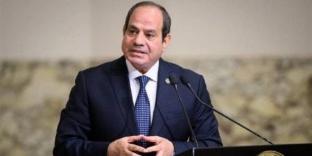 الرئيس السيسي يلتقي بنظيره الغاني لبحث سبل تعزيز العمل الجماعي على مستوى القارة الإفريقية - ايجي سبورت