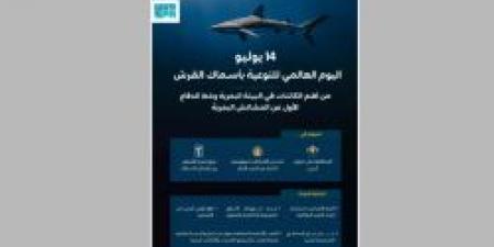البيئة والمياه والزراعة تُجدد دعوتها لحماية أسماك القرش في يومها العالمي - ايجي سبورت