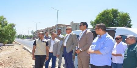 محافظ الأقصر يتفقد طريق المعاهدة والوحدة الصحية بقرية الحميدات ويوجه بسرعة رفع كفاءتها - ايجي سبورت