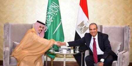 وزير الخارجية والهجرة يستقبل نظيره السعودي بمدينة العلمين  - ايجي سبورت