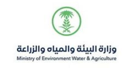 "بيئة الرياض" توقّع 3 عقود استثمارية في ثادق والمجمعة لتربية الأغنام والتشجير - ايجي سبورت