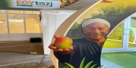 "المانجا المصرية" تكسب فى دبى ..وإقبال من مختلف الجنسيات  - ايجي سبورت