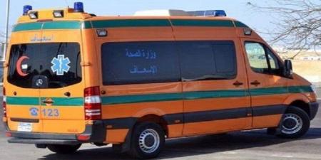 بسبب تهور السائق.. إصابة 11 شخص بينهم أطفال إثر انقلاب ميكروباص بالمنيا - ايجي سبورت