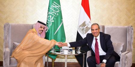 وزير الخارجية:نرفض أي محاولات يائسة للمساس بالعلاقات التاريخية المصرية السعودية - ايجي سبورت