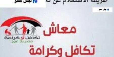 معاش تكافل وكرامة 2025 بعد الزيادة.. خطوات الاستعلام والشروط والمستندات المطلوبة - ايجي سبورت
