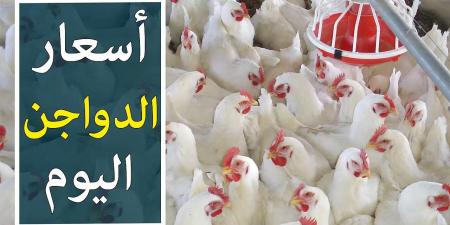 خزني بسرعة ياست الكل..  أسعار الفراخ البيضاء والأمهات اليوم الأحد 20 يوليو في الأسواق المصرية والمزرعة بورصة الدواجن - ايجي سبورت