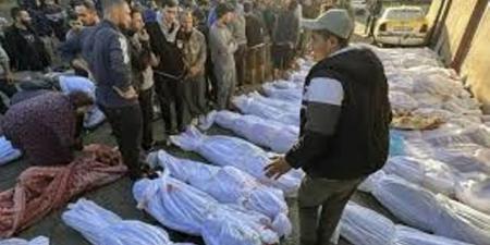 ارتفاع حصيلة شهداء غزة لـ58,765 والإصابات 140,485 منذ بدء العدوان - ايجي سبورت
