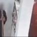 ضبط لص سرق عكازات كبار السن بمسجد بأسيوط - ايجي سبورت