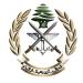 الجيش: توقيف 144 سوريًّا لتجوّلهم داخل الأراضي اللبنانية بطريقة غير شرعية و6 مواطنين لارتكابهم جرائم مختلفة - ايجي سبورت