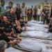 70 شهيدا فلسطينيا منذ فجر اليوم بنيران وغارات الاحتلال الإسرائيلي على غزة - ايجي سبورت