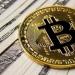 بيتكوين تحقق مكاسب اسبوعية تتجاوز 6.6% وسط توقعات لارتفاعات جديدة - ايجي سبورت