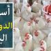 خزني بسرعة ياست الكل..  أسعار الفراخ البيضاء والأمهات اليوم الأحد 20 يوليو في الأسواق المصرية والمزرعة بورصة الدواجن - ايجي سبورت