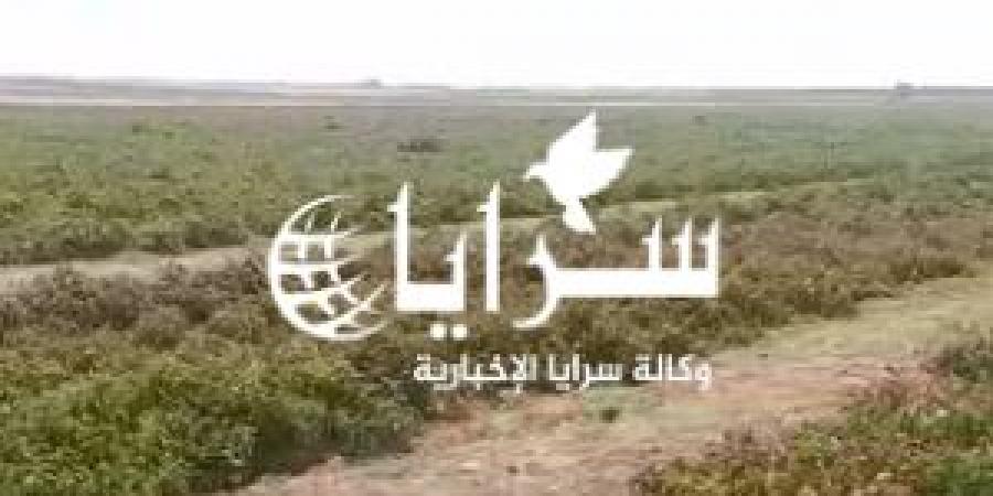 "بعد وقف التصدير الخارجي" ..   مزارعو البندورة في قضاء الخالدية يناشدون الحكومة للتصرف - فيديو - ايجي سبورت