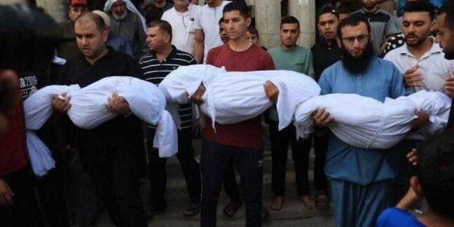 استشهاد 11 شخصا معظمهم من الأطفال وإصابة آخرين بقصف إسرائيلي - ايجي سبورت