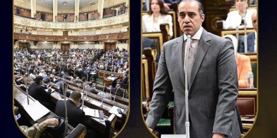 "جلسان بالنواب ولقاءات".. أبرز أنشطة وزارة الشئون النيابية والقانونية خلال أسبوع  - ايجي سبورت