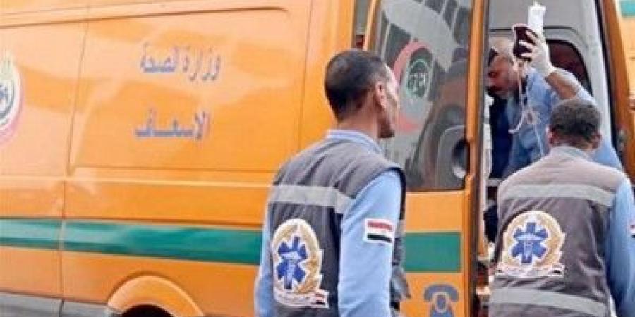 إصابة 3 أشخاص في انقلاب ميكروباص بطريق مصر – إسكندرية الزراعي - ايجي سبورت
