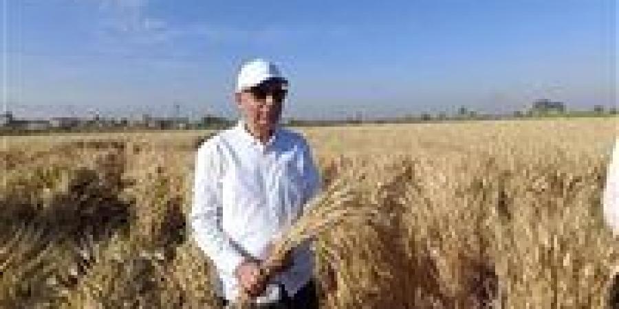 جهود محافظة المنيا في تطوير القطاع الزراعي..رؤية استراتيجية للنهوض بالزراعة المصرية - ايجي سبورت