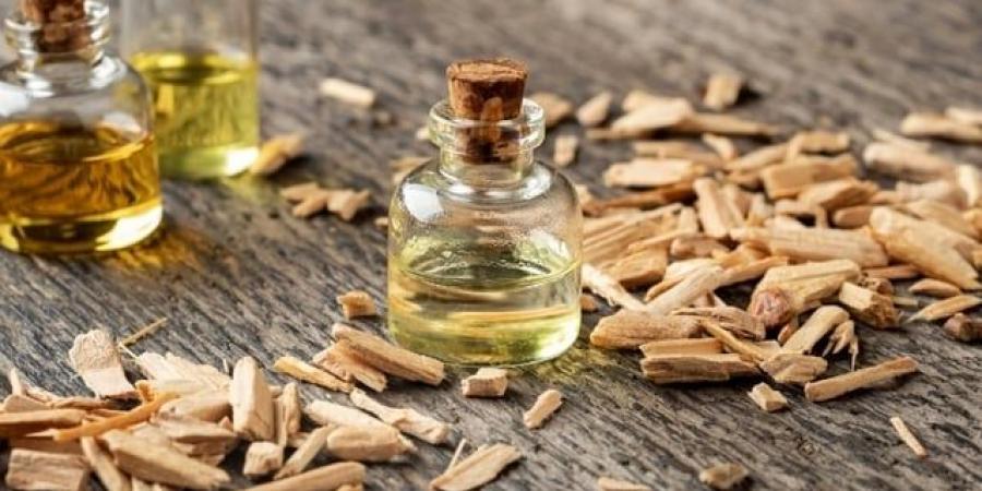 عطر خشب الأرز.. اصنعيه بنفسك - ايجي سبورت