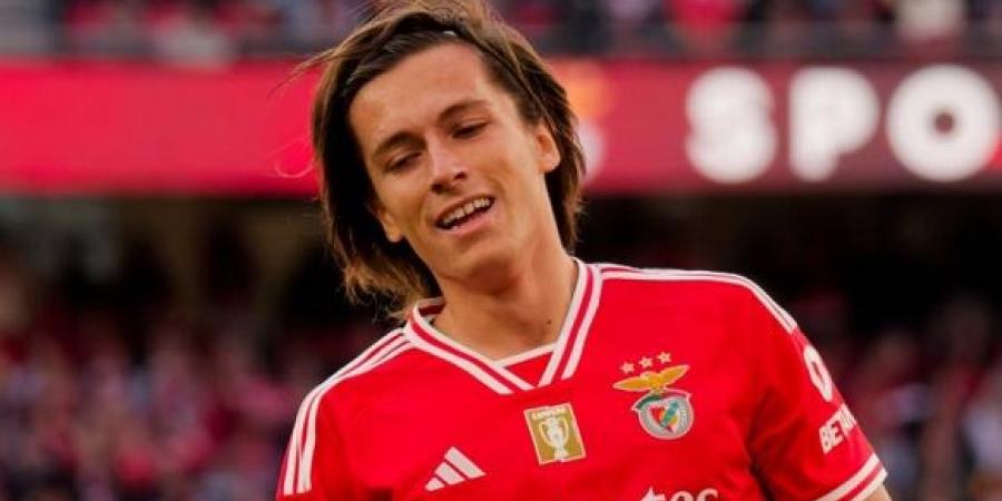 ريال مدريد يعلن ضم نجم بنفيكا لمدة 6 مواسم - ايجي سبورت