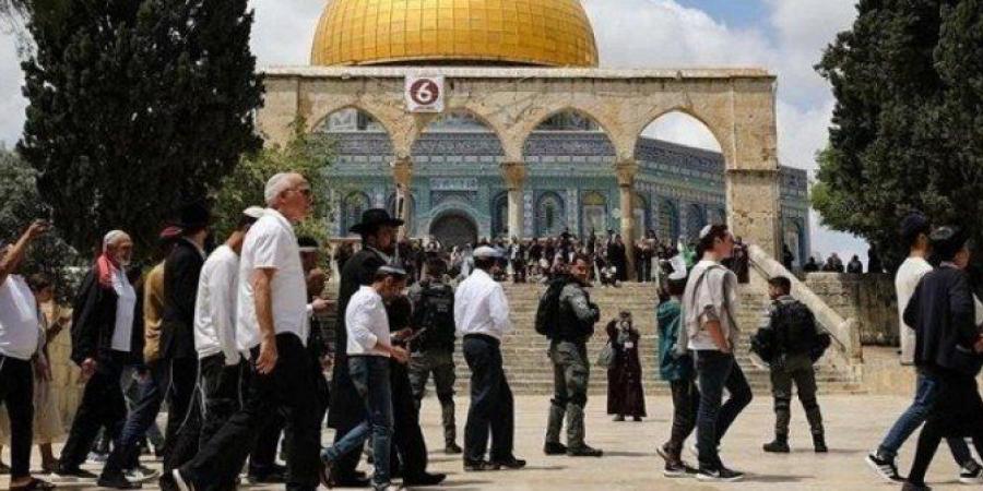 مستعمرون يقتحمون المسجد الأقصى المبارك في حراسة قوات الاحتلال الإسرائيلي - ايجي سبورت