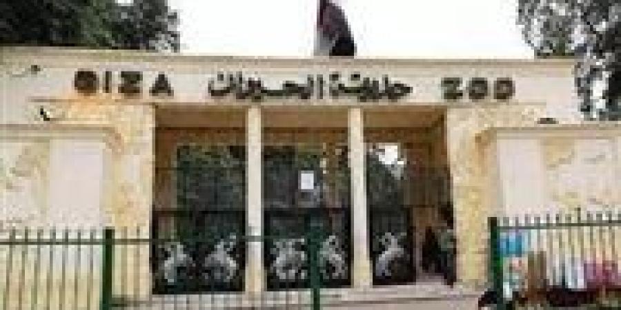 تطوير حديقة الحيوان…تعرف على موعد الافتتاح - ايجي سبورت