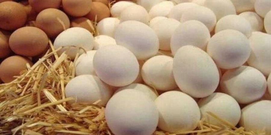 سعر كرتونة البيض اليوم الثلاثاء 15 يوليو 2025 للمستهلك - ايجي سبورت