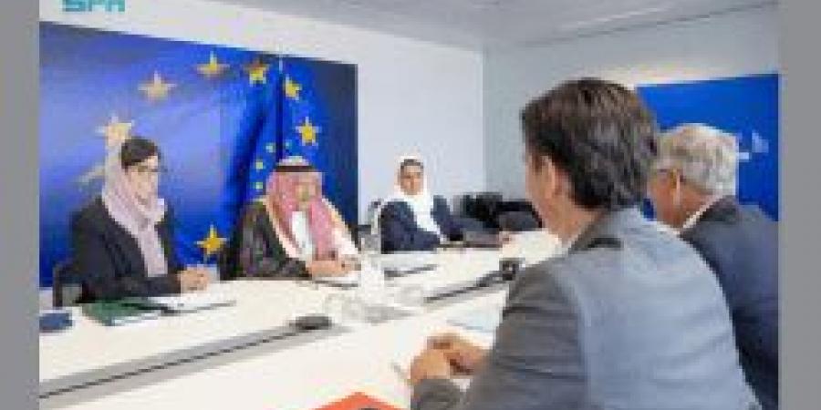 نائب وزير الخارجية يبحث التعاون الثنائي مع المفوض الأوروبي للهجرة في بروكسل - ايجي سبورت