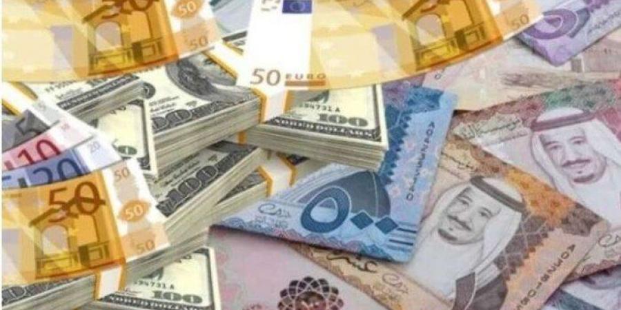 أسعار العملات العربية و الأجنبية في مصر اليوم.. الثلاثاء 15-7-2025 - ايجي سبورت