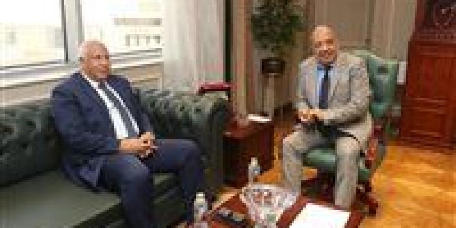 وزير الكهرباء يبحث مع محافظ الوادي الجديد خطة التنمية بالمحافظة وسبل دعم وتعزيز الشبكة وتأمين التغذية الكهربائية اللازمة - ايجي سبورت