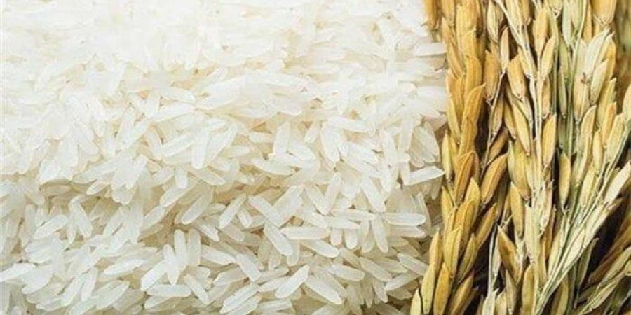 سعر الأرز الشعير اليوم الخميس 17 يوليو 2025 في الأسواق - ايجي سبورت