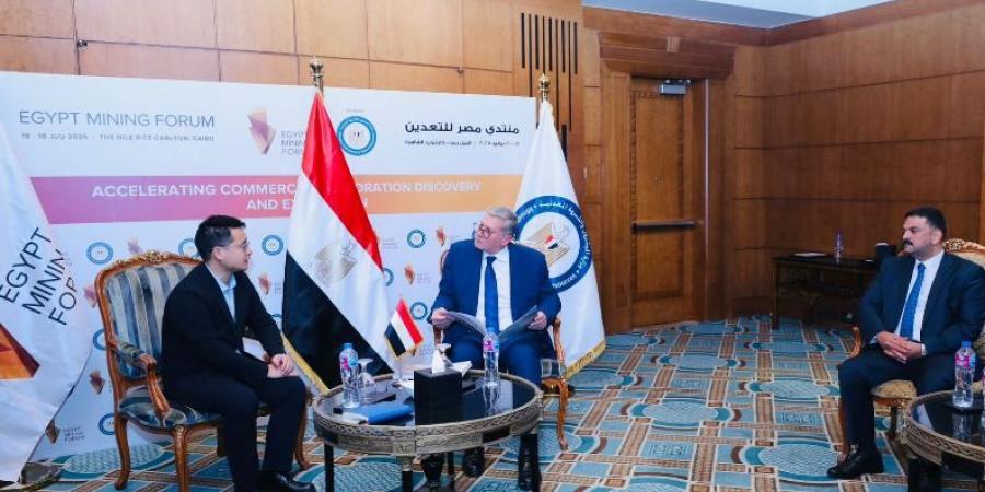 وزير البترول يلتقي وفد "Kiping solar technology" الصينية - ايجي سبورت