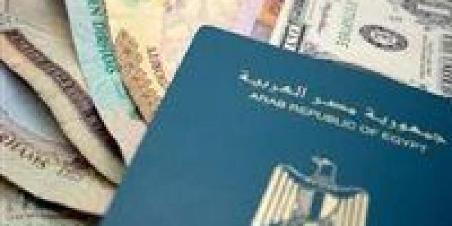 عودة المصريين من الخارج .....هل بدأ العائدون يعيدون رسم خريطة الاقتصاد المحلي المصرى - ايجي سبورت