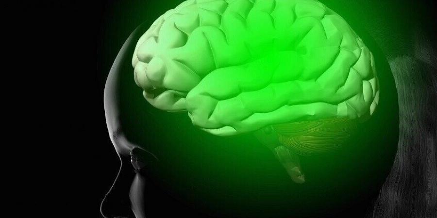 "بقعة زرقاء".. اكتشاف "زر إعادة ضبط" الذاكرة في الدماغ - ايجي سبورت