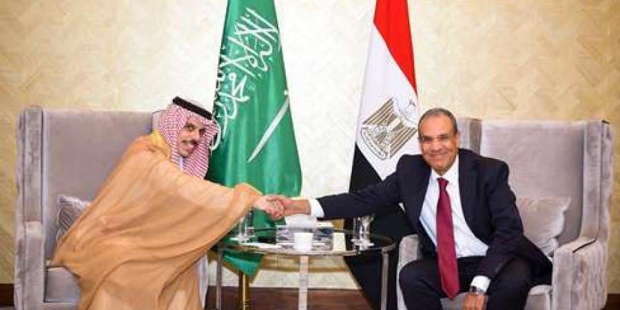 وزير الخارجية والهجرة يستقبل نظيره السعودي بمدينة العلمين  - ايجي سبورت