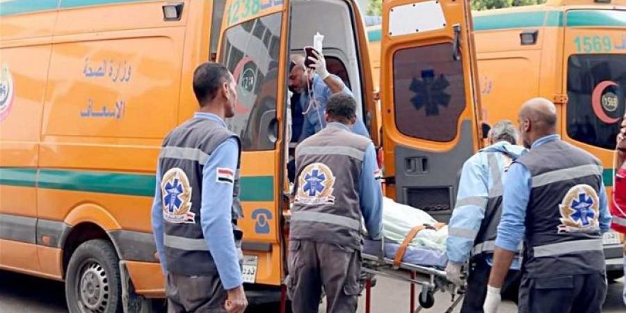 مصرع طفلة صدمتها سيارة بمركز سمالوط  - ايجي سبورت