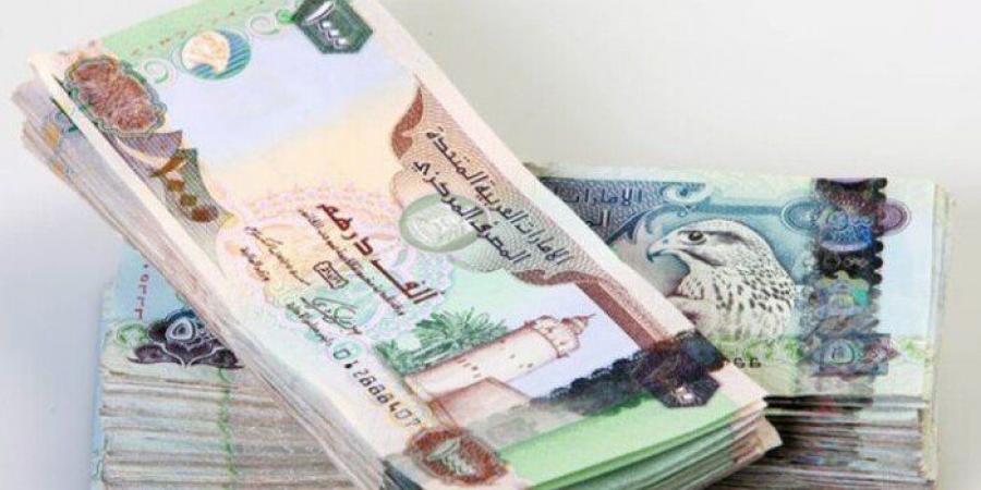 سعر الدرهم الإماراتي مقابل الجنيه المصري اليوم الجمعة 18 يوليو 2025 - ايجي سبورت