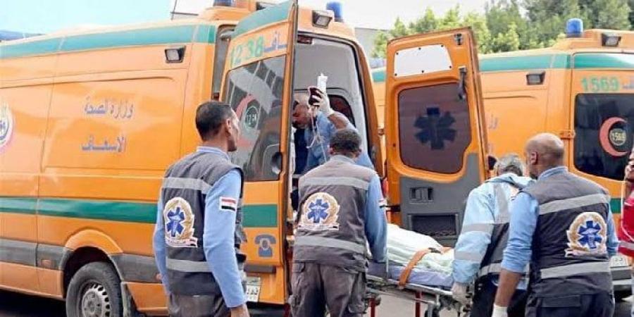 إصابة 10 أشخاص في حادث انقلاب سيارة ملاكي بدائري القليوبية - ايجي سبورت