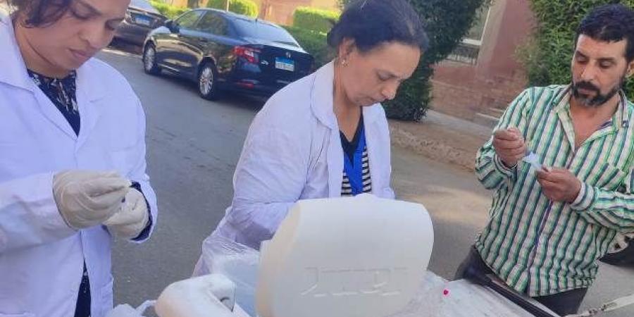 محافظة الجيزة: تجهيز شلتر إمبابة لتعقيم الكلاب الضالة - ايجي سبورت