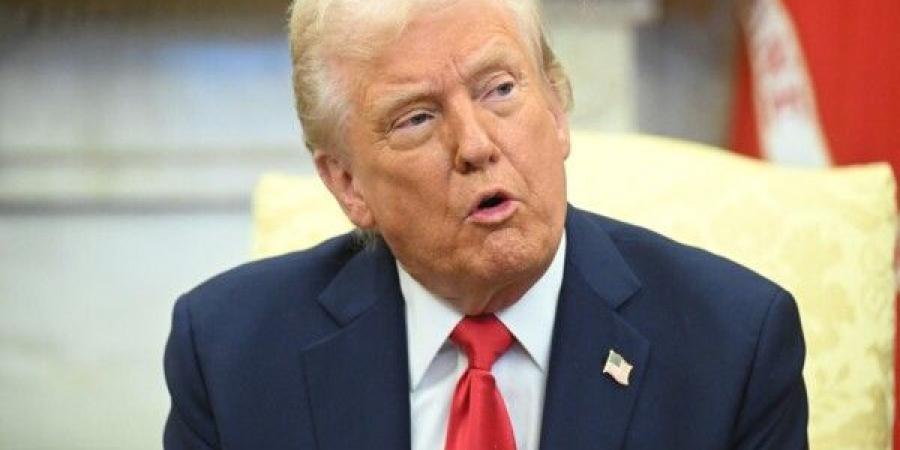 ترامب: ستيف ويتكوف قام بعمل رائع بشأن غزة - ايجي سبورت